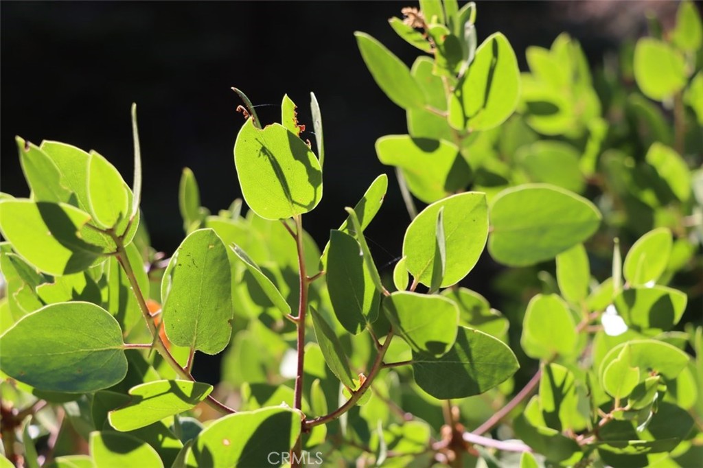 7349 & 7473 Yosemite Park Way, Yosemite, CA 95389