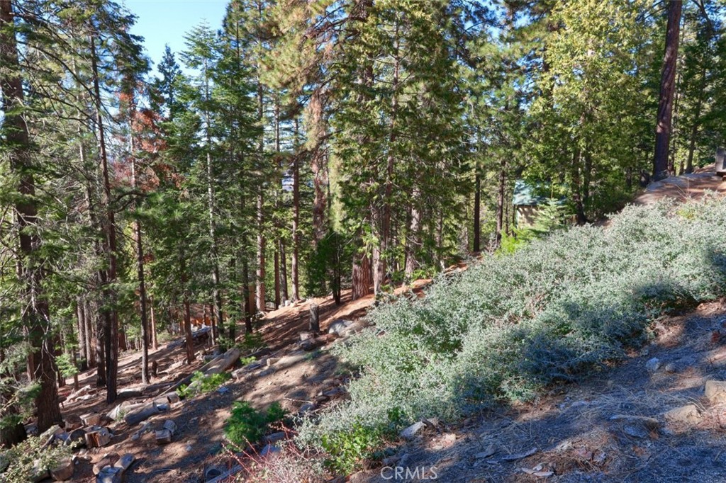 7349 & 7473 Yosemite Park Way, Yosemite, CA 95389