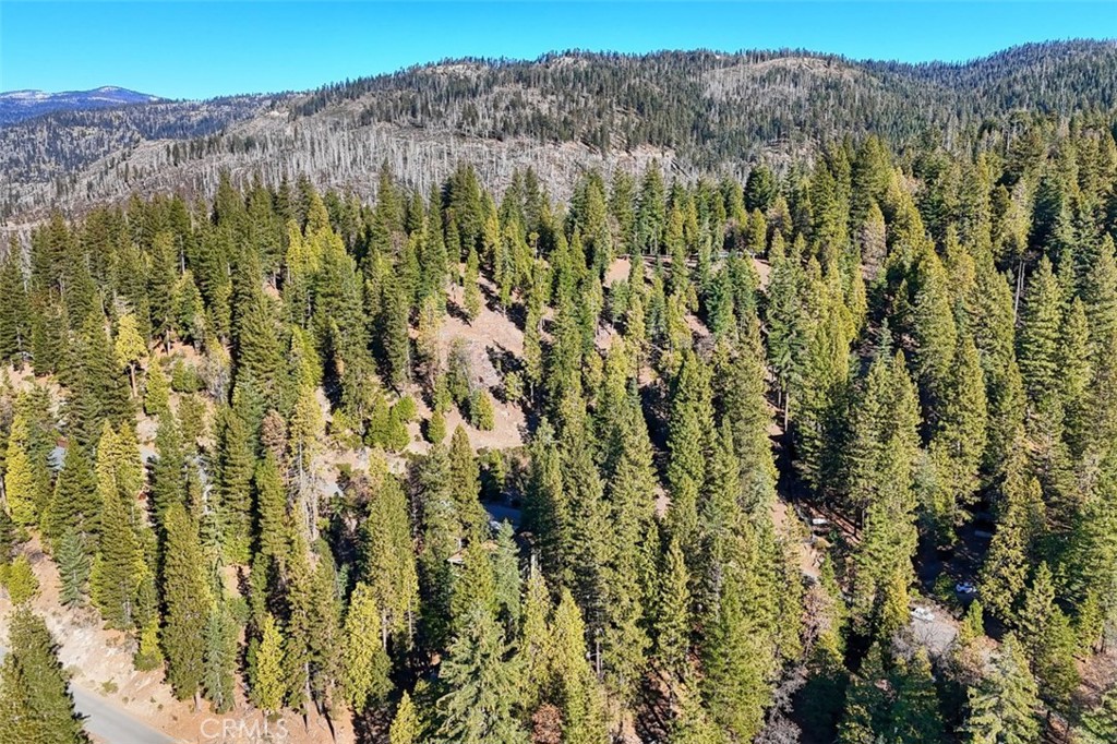 7349 & 7473 Yosemite Park Way, Yosemite, CA 95389