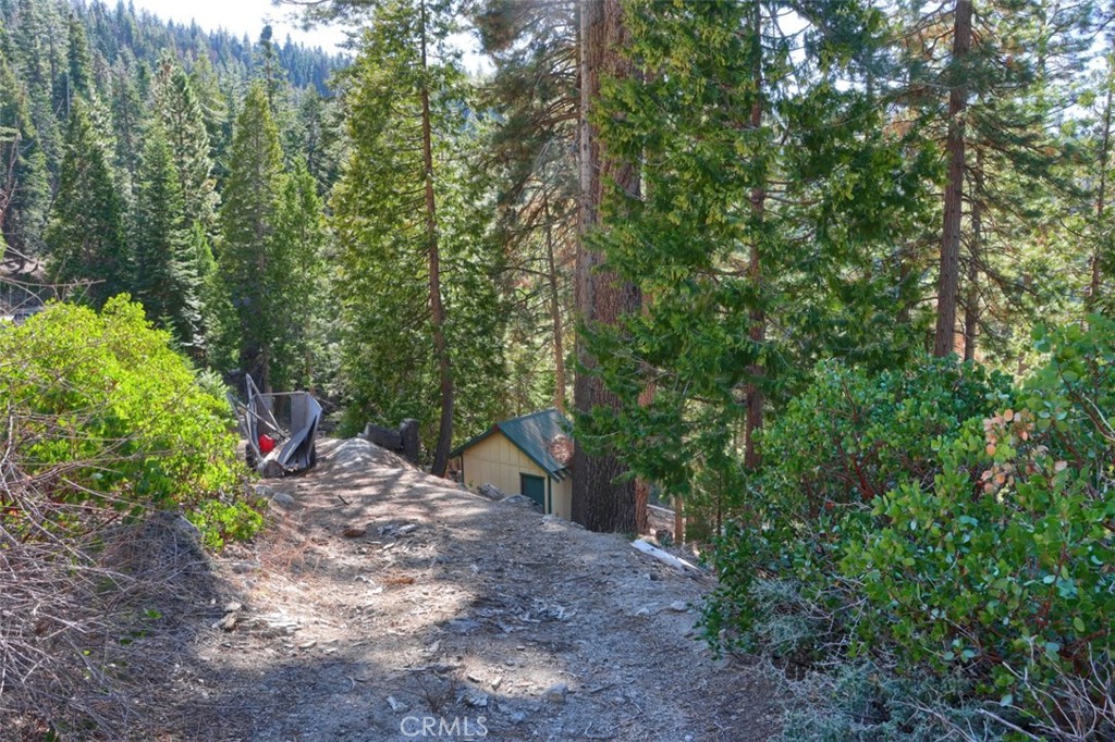 7349 & 7473 Yosemite Park Way, Yosemite, CA 95389
