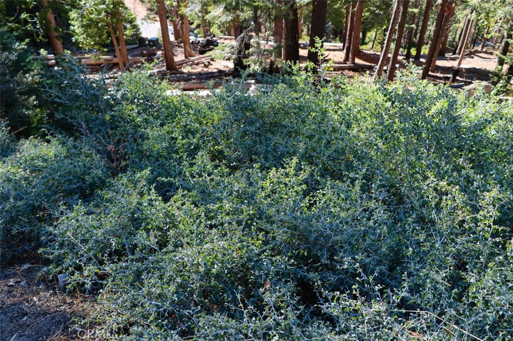 7349 & 7473 Yosemite Park Way, Yosemite, CA 95389