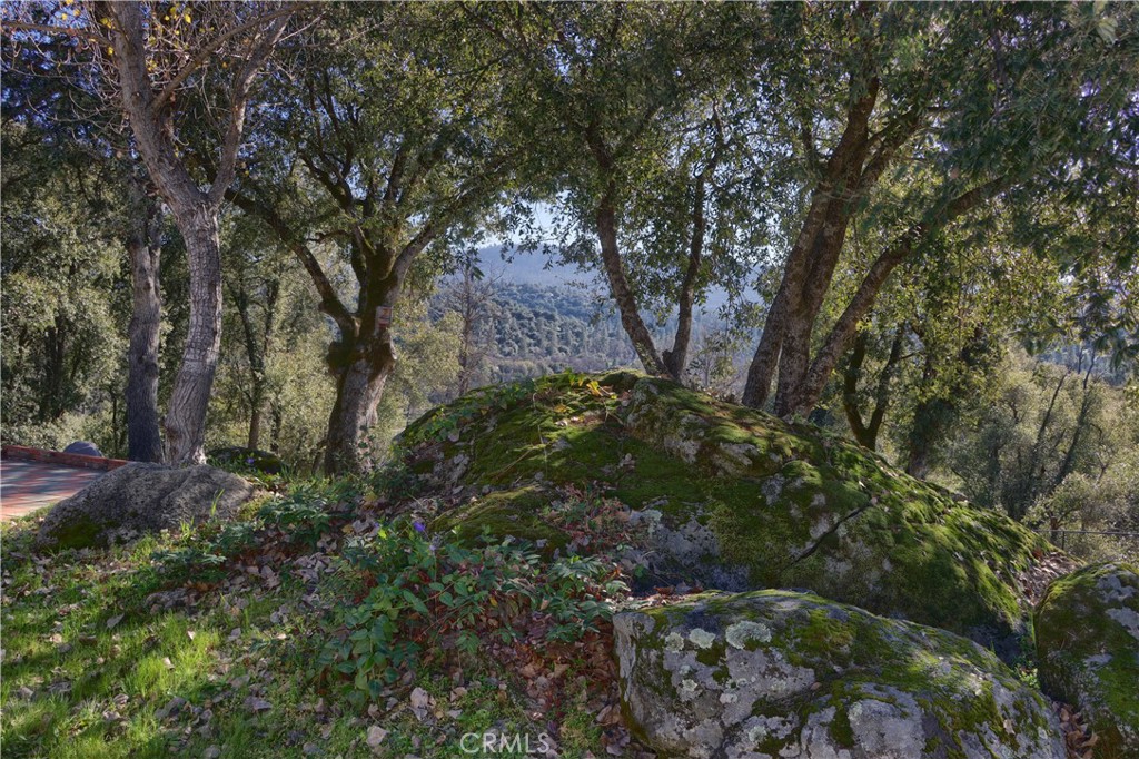 40118 Old Stonegate Ct, Oakhurst, CA 93644