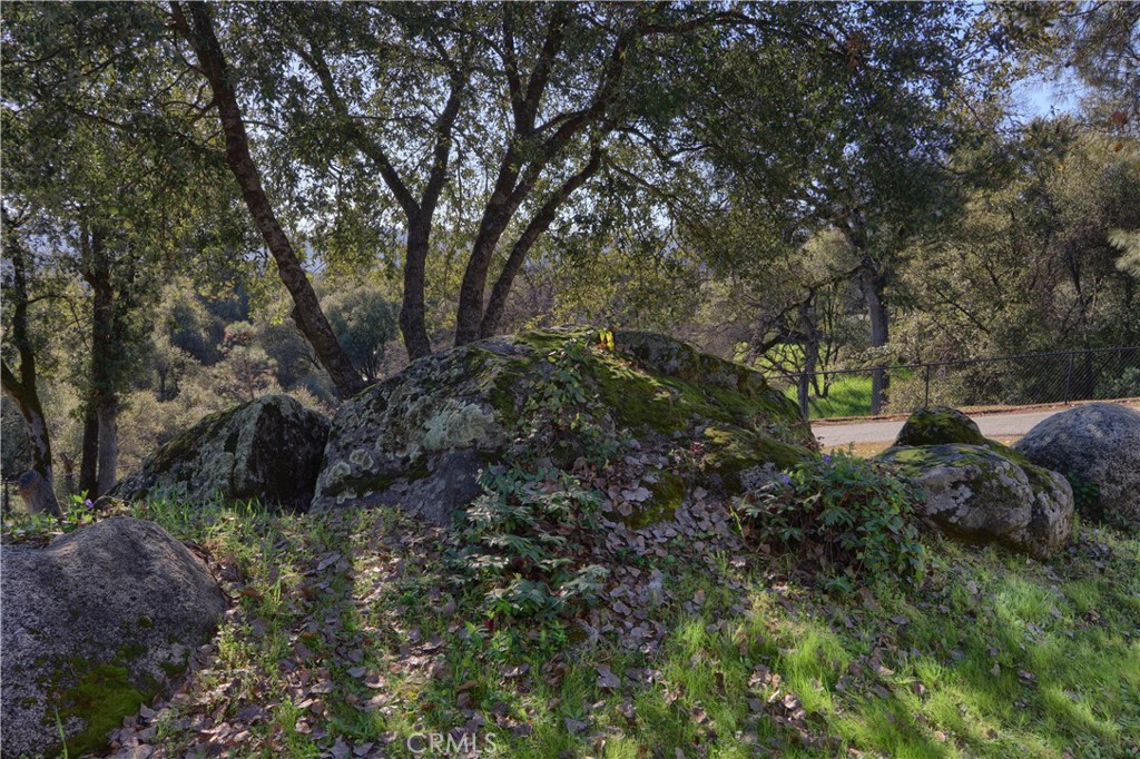 40118 Old Stonegate Ct, Oakhurst, CA 93644