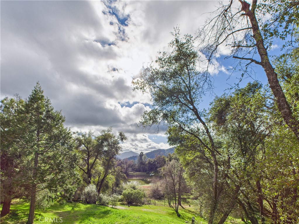 43710 Hilltop, Ahwahnee, CA 93601