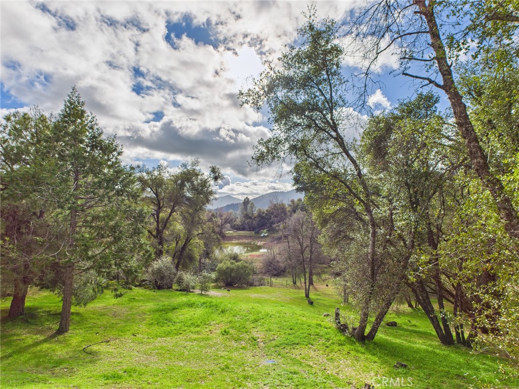 43710 Hilltop, Ahwahnee, CA 93601