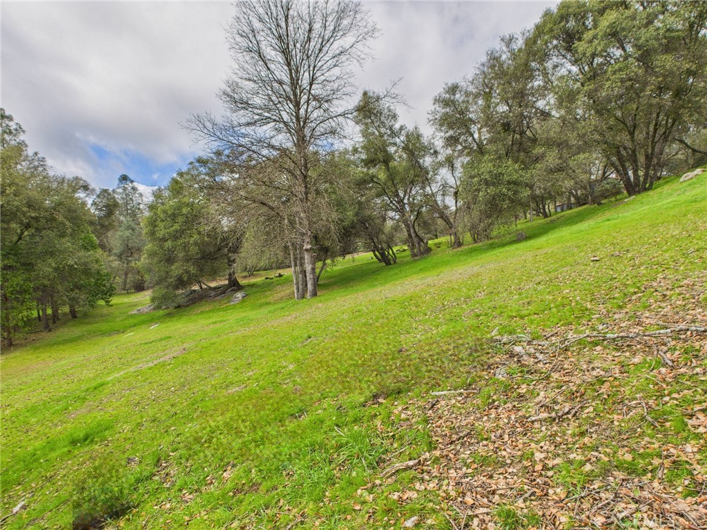 43710 Hilltop, Ahwahnee, CA 93601