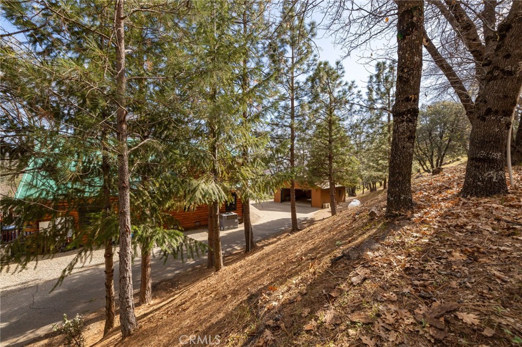 52815 Timberview Rd, North Fork, CA 93643