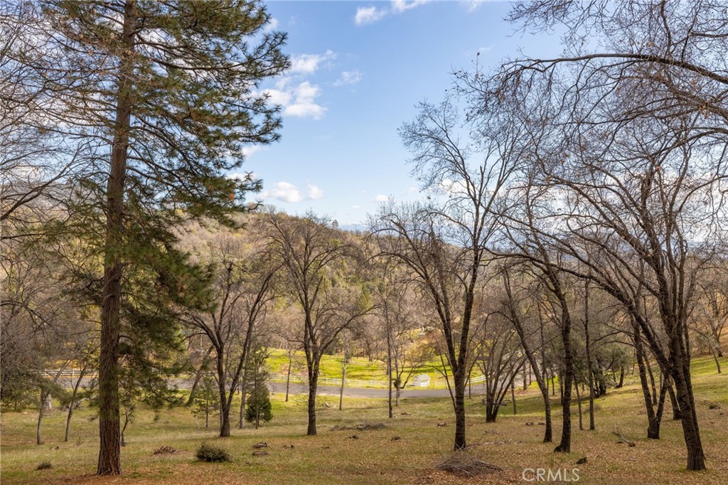 52815 Timberview Rd, North Fork, CA 93643