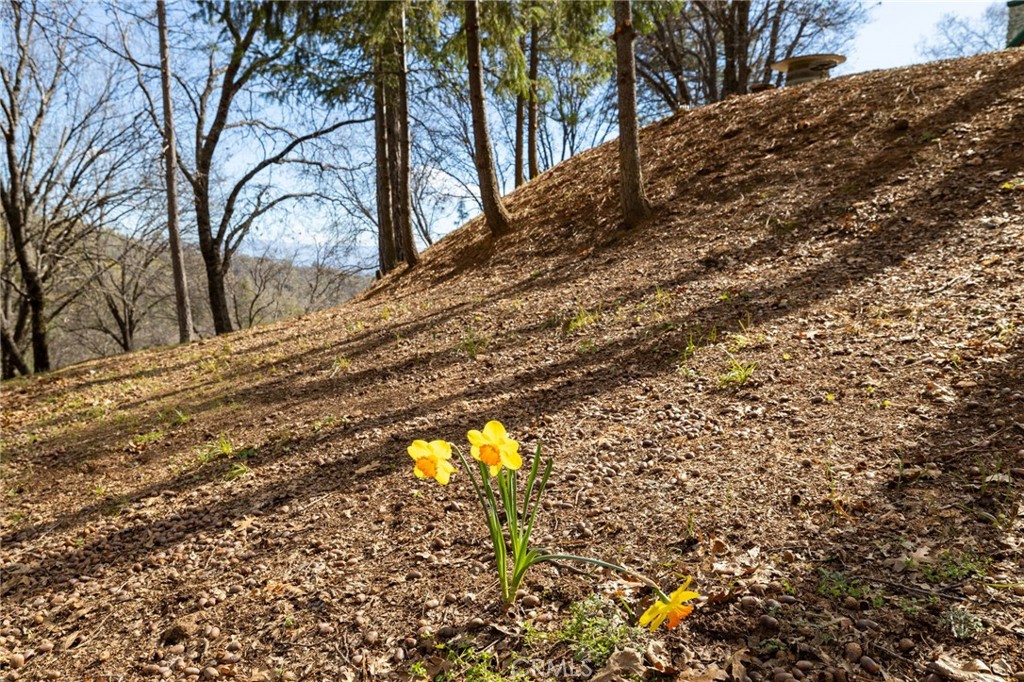 52815 Timberview Rd, North Fork, CA 93643