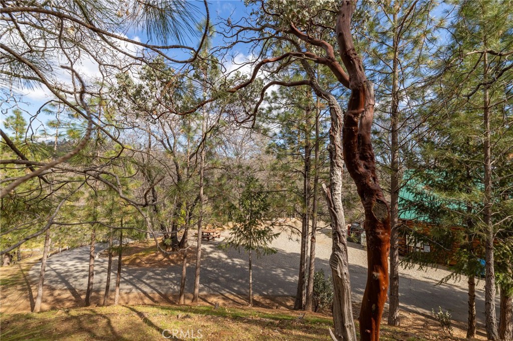 52815 Timberview Rd, North Fork, CA 93643