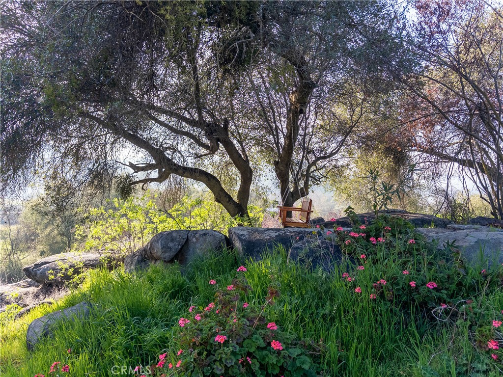 38758 Aster, Squaw Valley, CA 93675