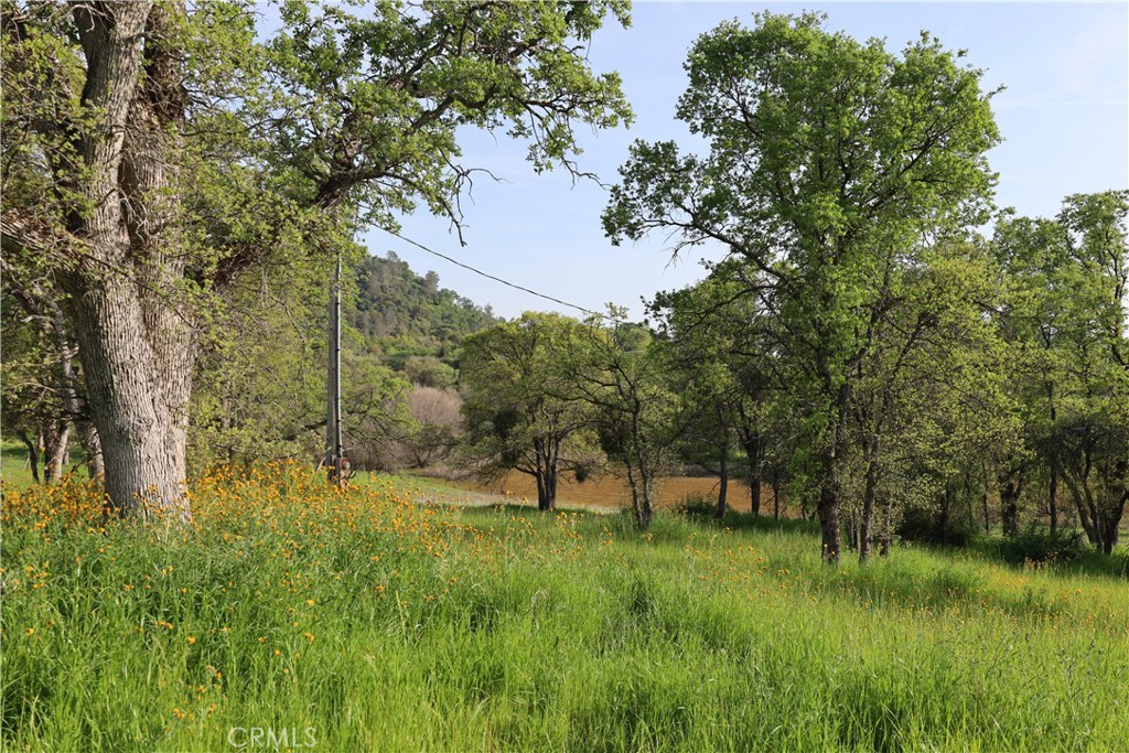 0 Douglas Rd, Coarsegold, CA 93614