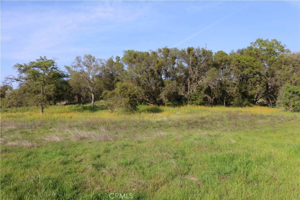 0 Douglas Rd, Coarsegold, CA 93614