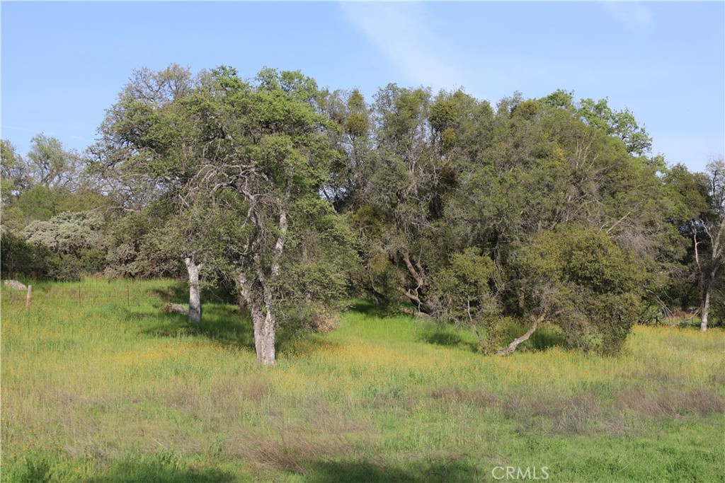 0 Douglas Rd, Coarsegold, CA 93614