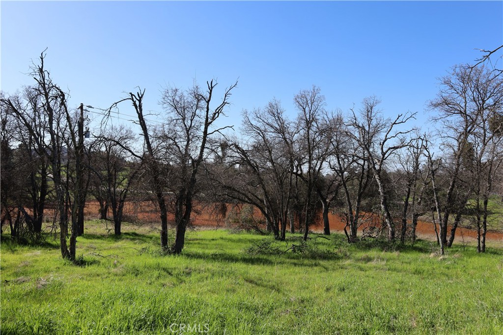 0 Douglas Rd, Coarsegold, CA 93614