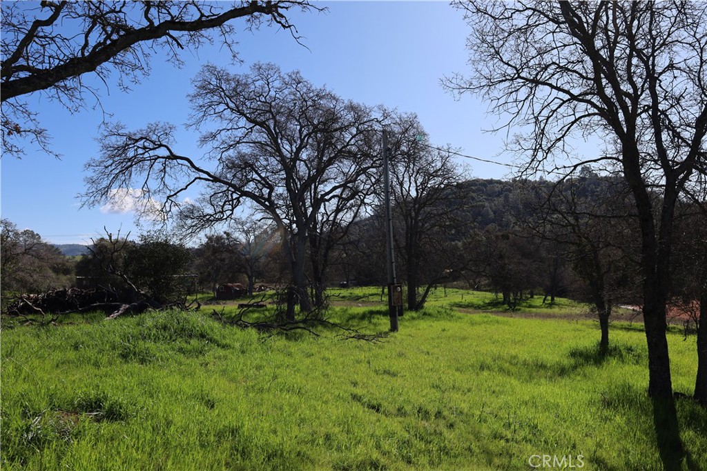 0 Douglas Rd, Coarsegold, CA 93614