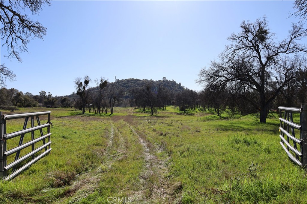 0 Douglas Rd, Coarsegold, CA 93614