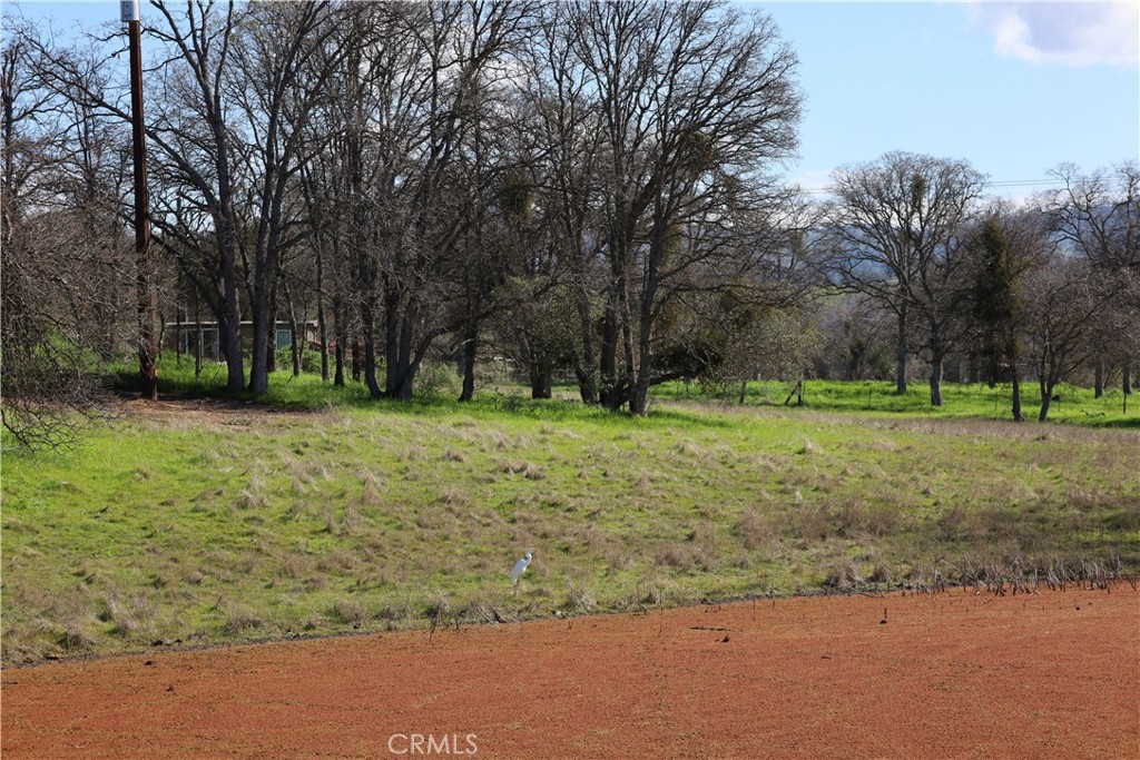 0 Douglas Rd, Coarsegold, CA 93614