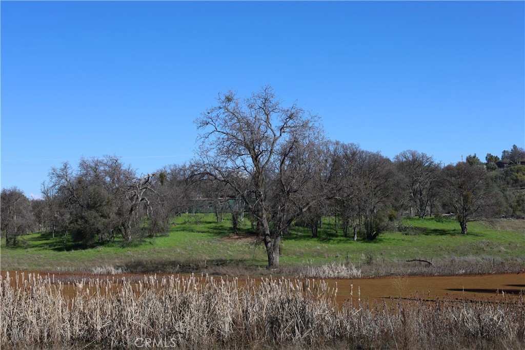 0 Douglas Rd, Coarsegold, CA 93614