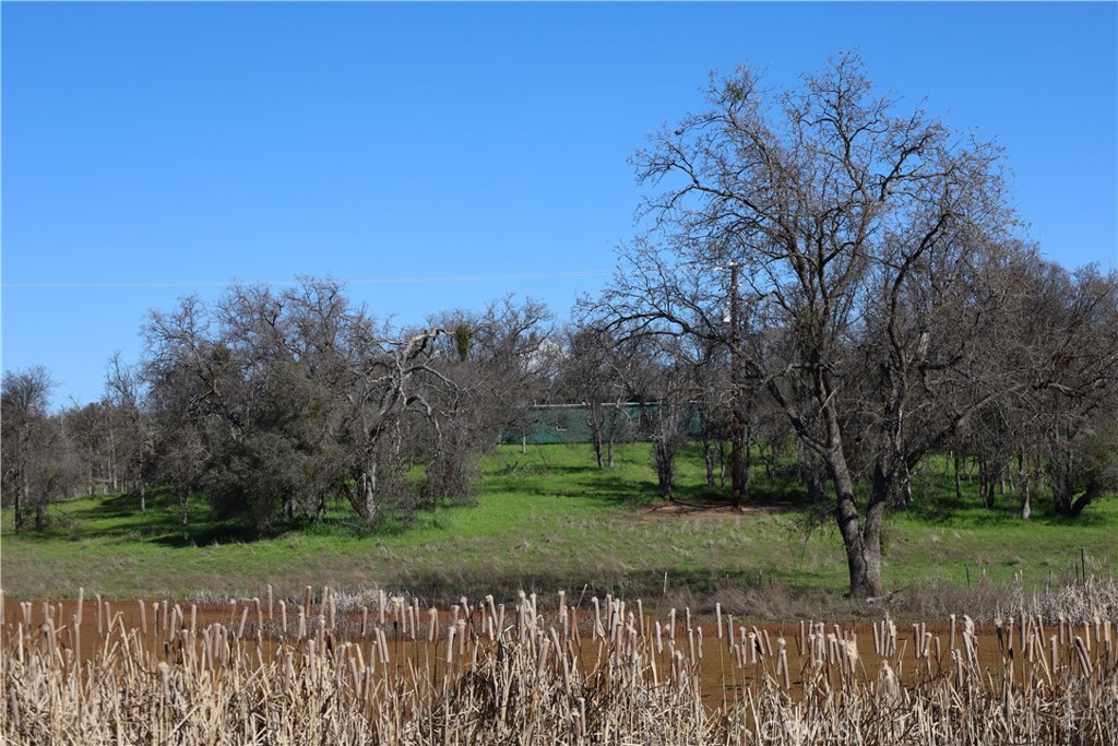 0 Douglas Rd, Coarsegold, CA 93614