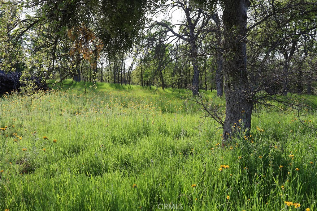 0 Douglas Rd, Coarsegold, CA 93614