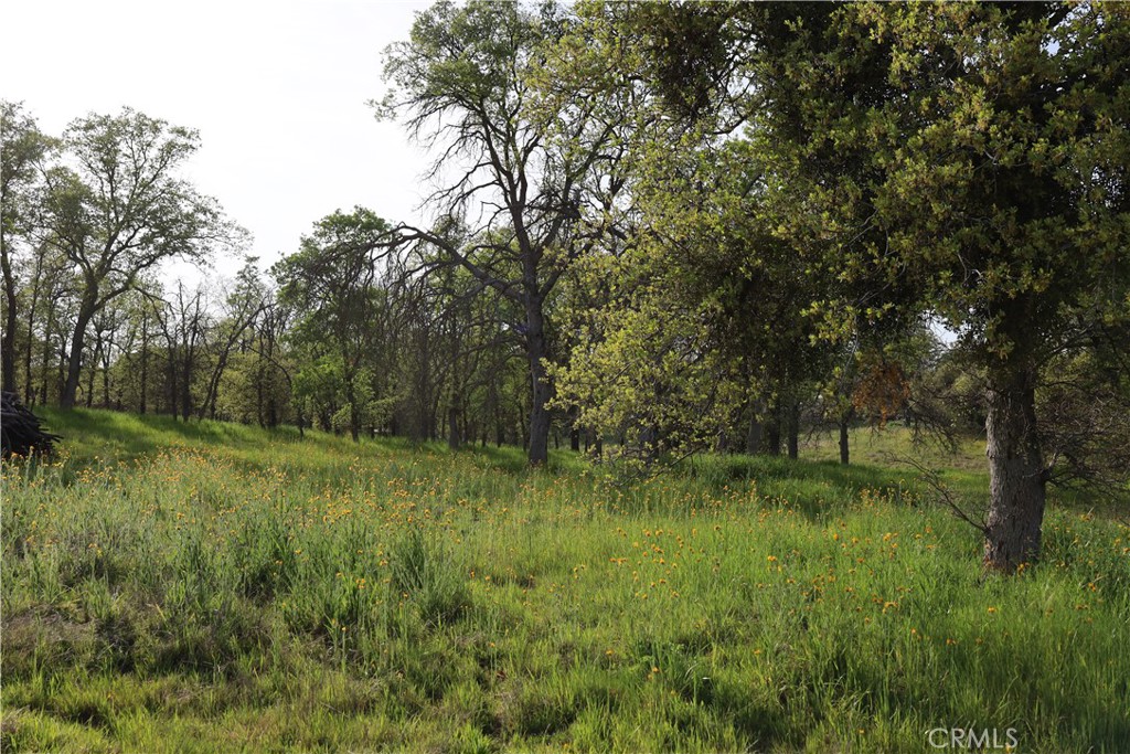 0 Douglas Rd, Coarsegold, CA 93614