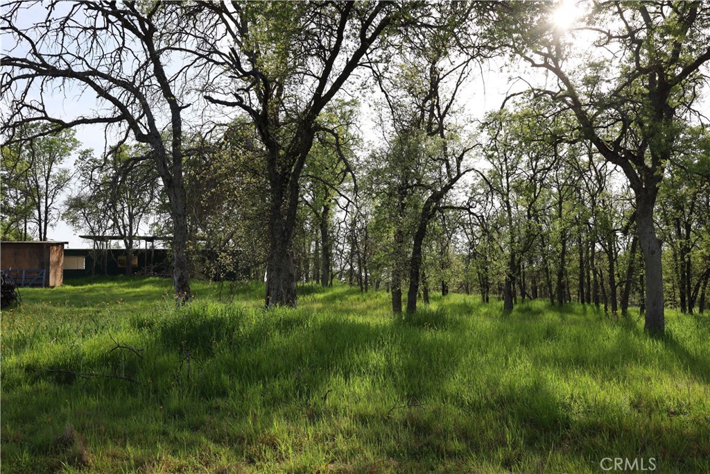 0 Douglas Rd, Coarsegold, CA 93614