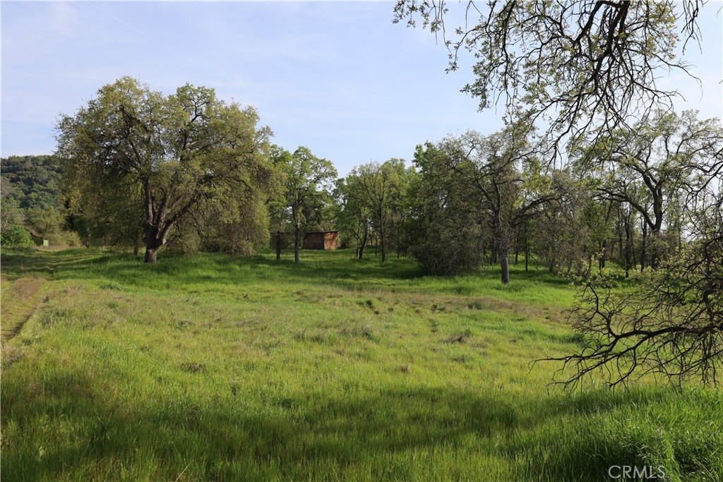 0 Douglas Rd, Coarsegold, CA 93614