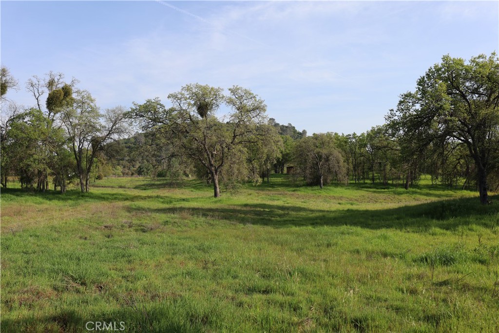 0 Douglas Rd, Coarsegold, CA 93614