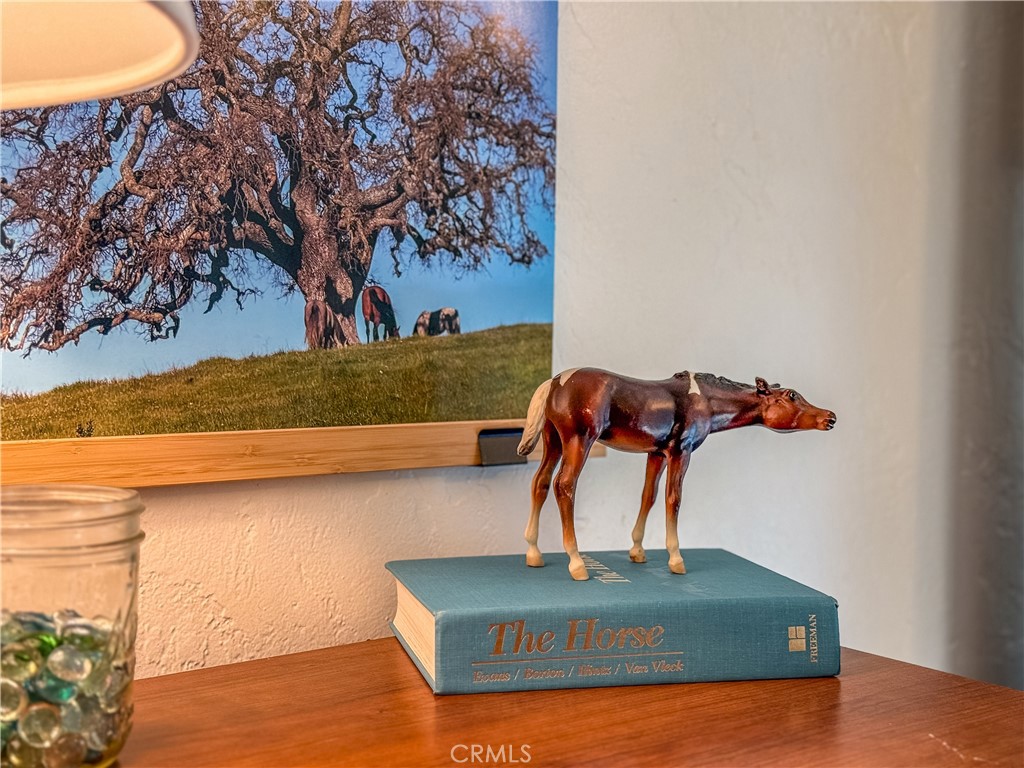 5275 N State Highway 49, Mariposa, CA 95338