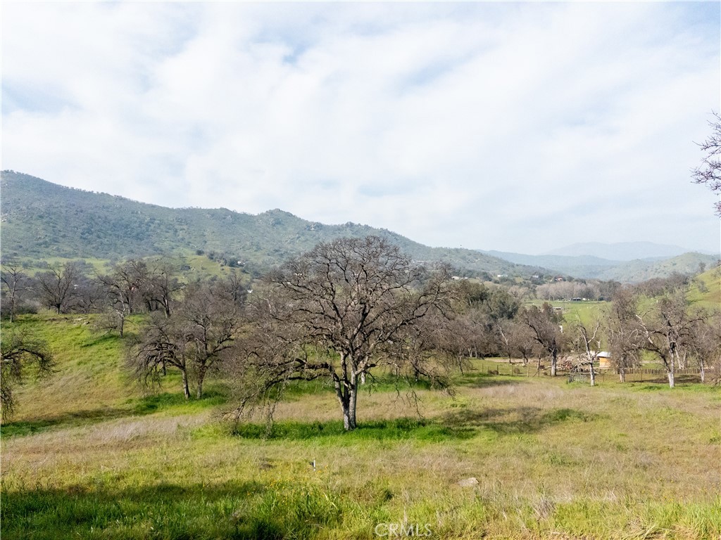 38075 Willowood, Squaw Valley, CA 93675