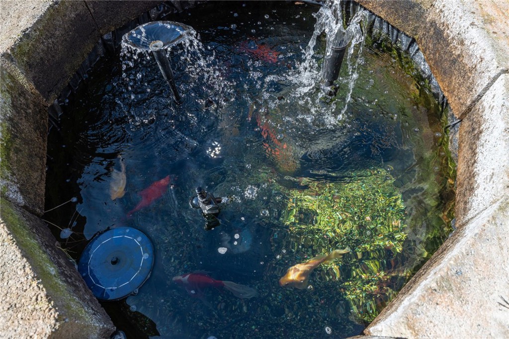 31020 Moccassin Ct, Coarsegold, CA 93614