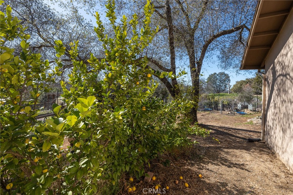 31020 Moccassin Ct, Coarsegold, CA 93614