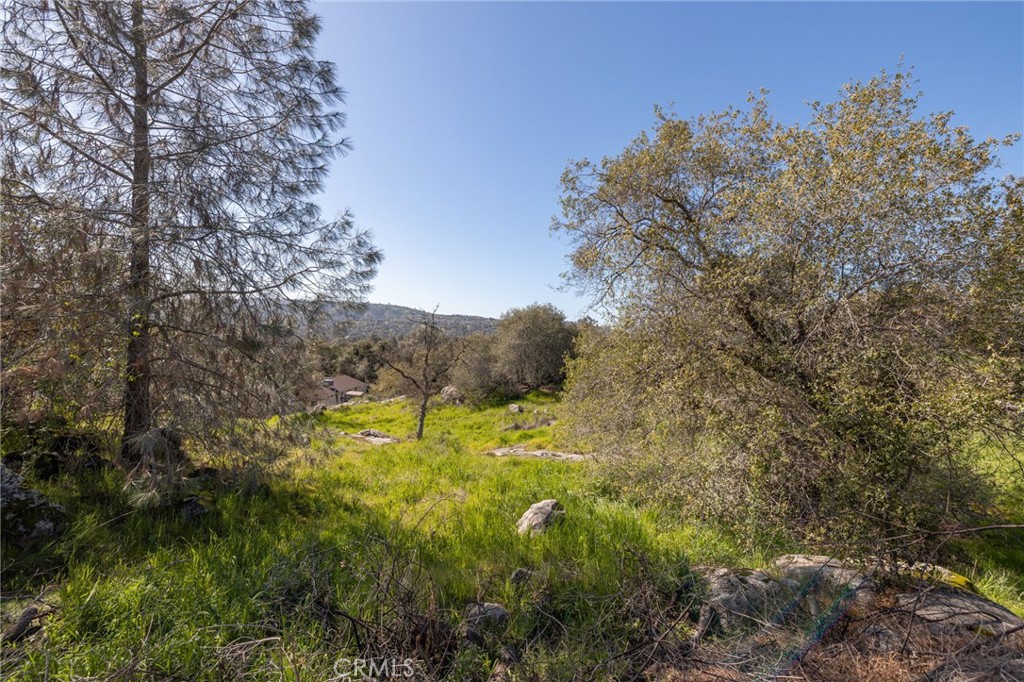 31020 Moccassin Ct, Coarsegold, CA 93614