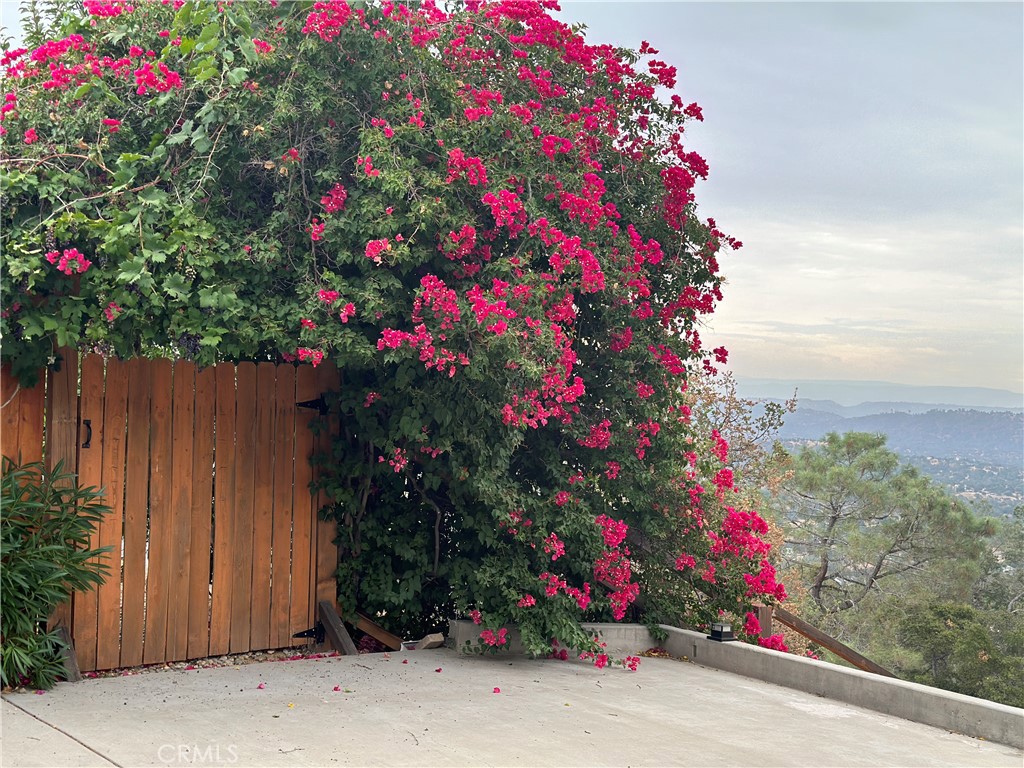 41915 John Muir, Coarsegold, CA 93614