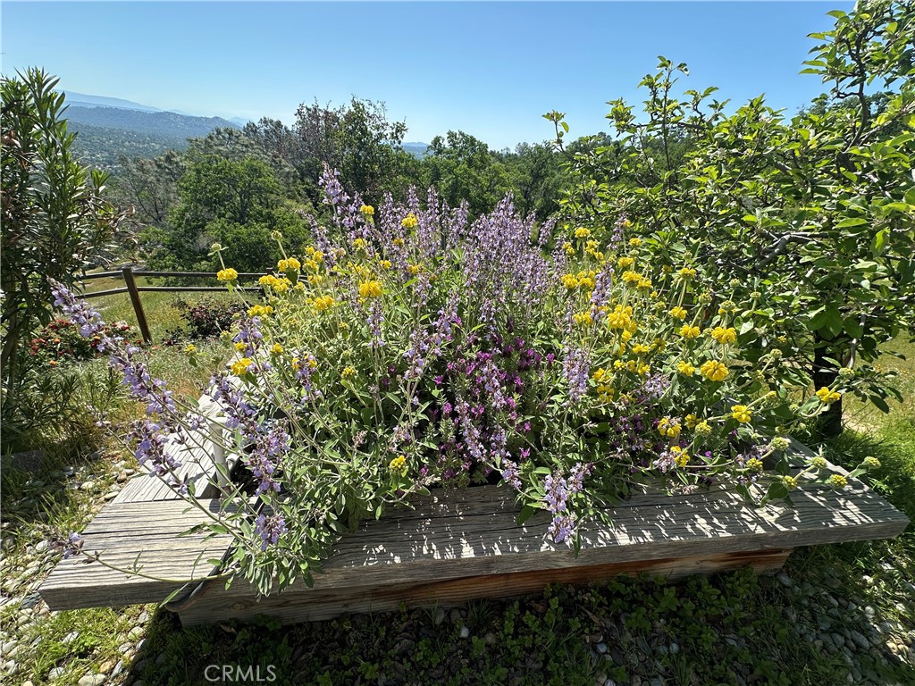 41915 John Muir, Coarsegold, CA 93614