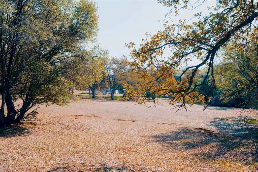 5615 Bear Trap Dr, Mariposa, CA 95338