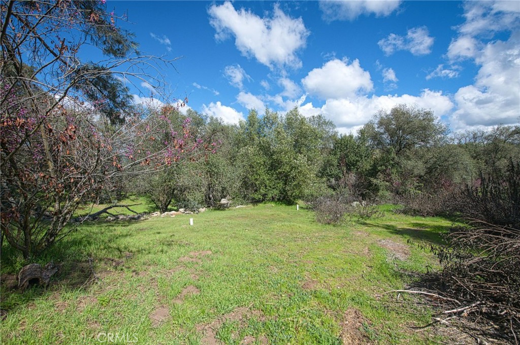 4853 Daffodil, Mariposa, CA 95338