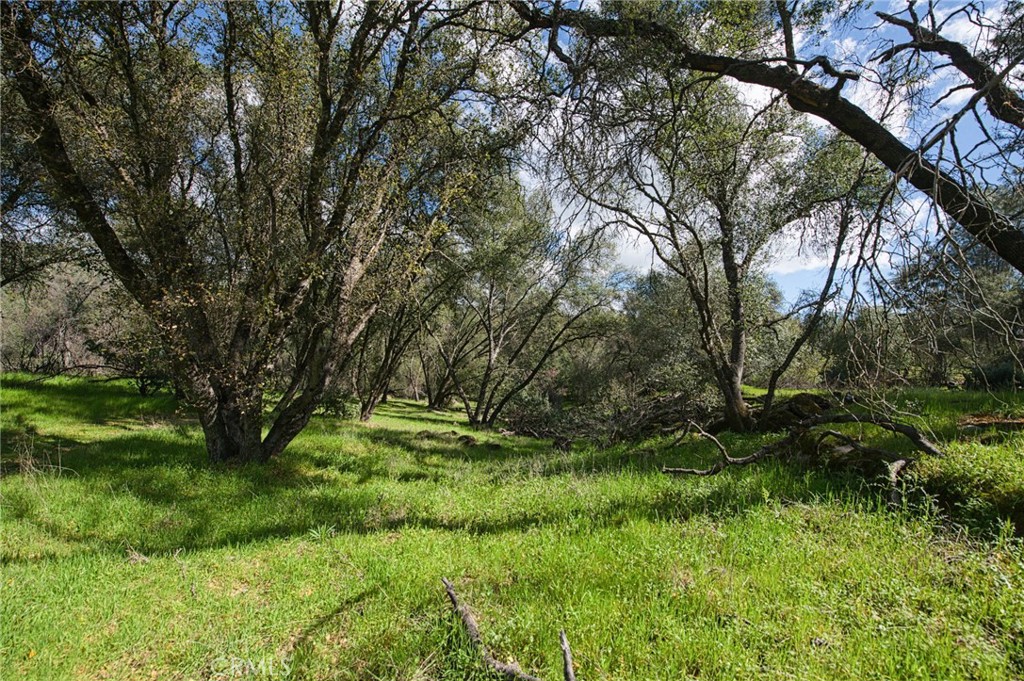 4853 Daffodil, Mariposa, CA 95338