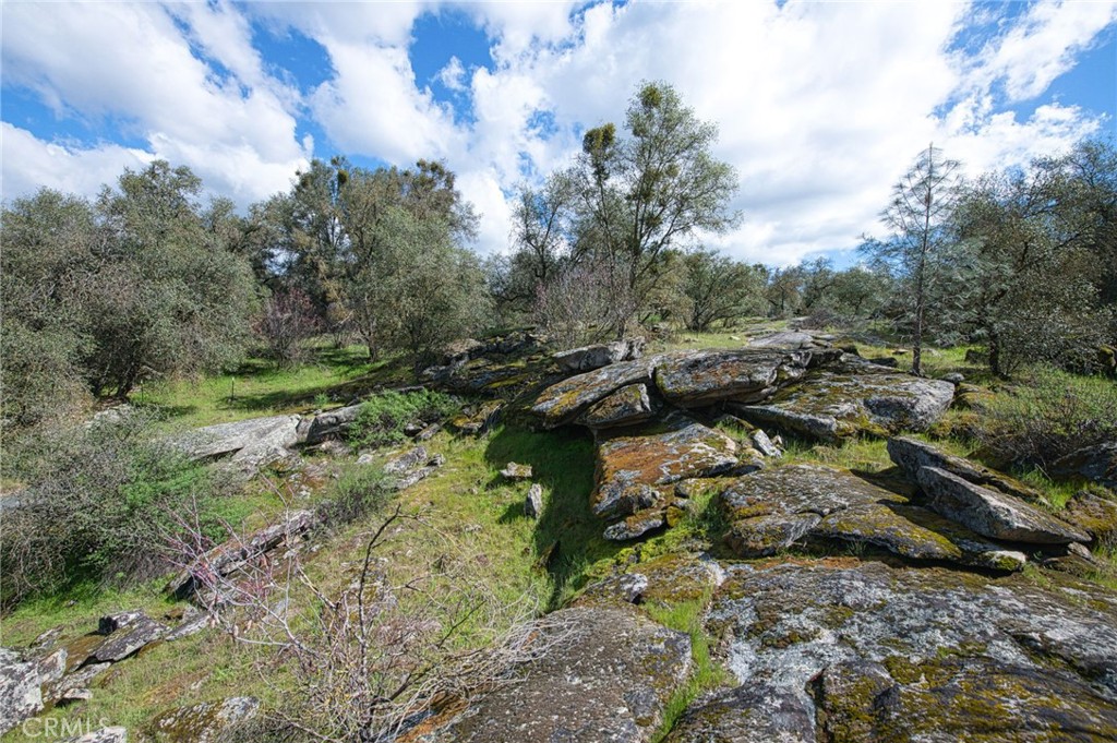 4853 Daffodil, Mariposa, CA 95338