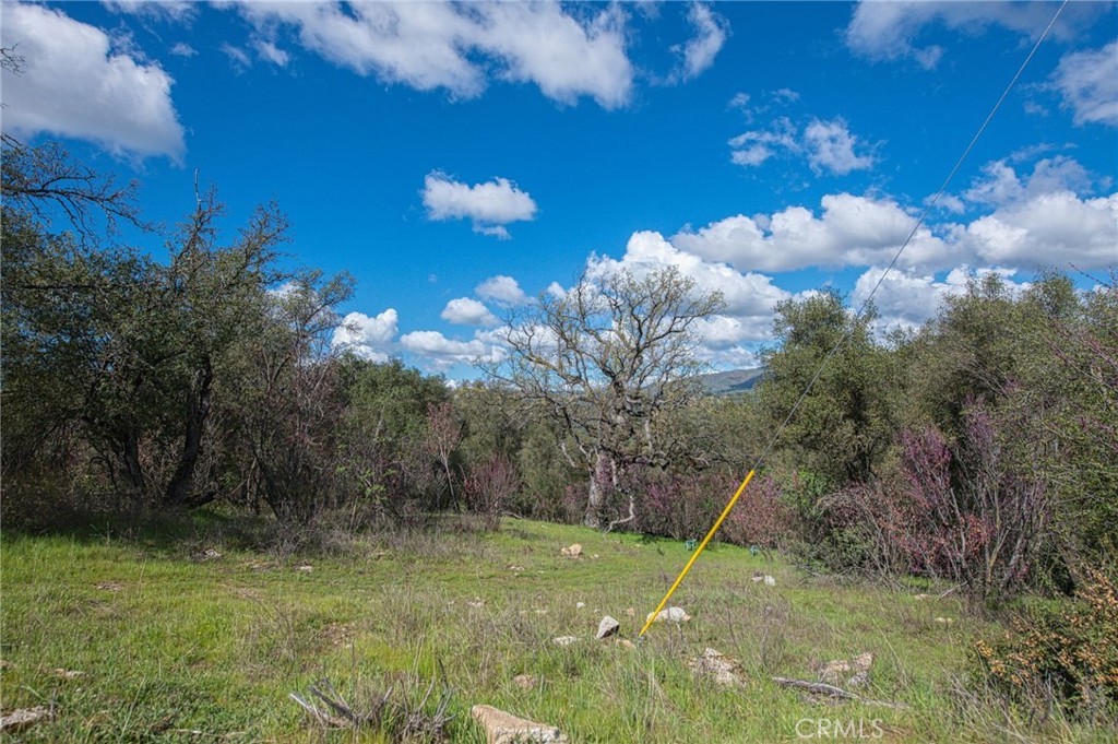 4853 Daffodil, Mariposa, CA 95338