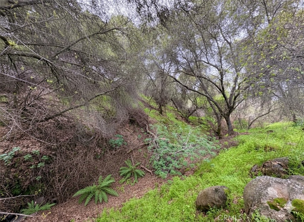 39313 Squaw Valley, Squaw Valley, CA 93675