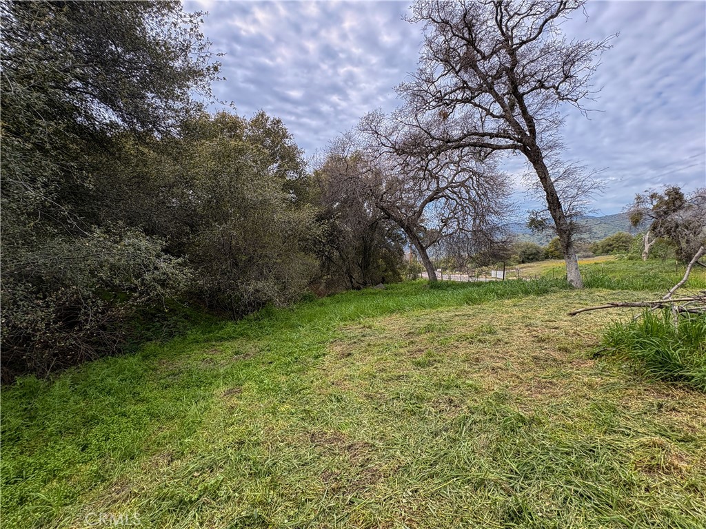 39313 Squaw Valley, Squaw Valley, CA 93675