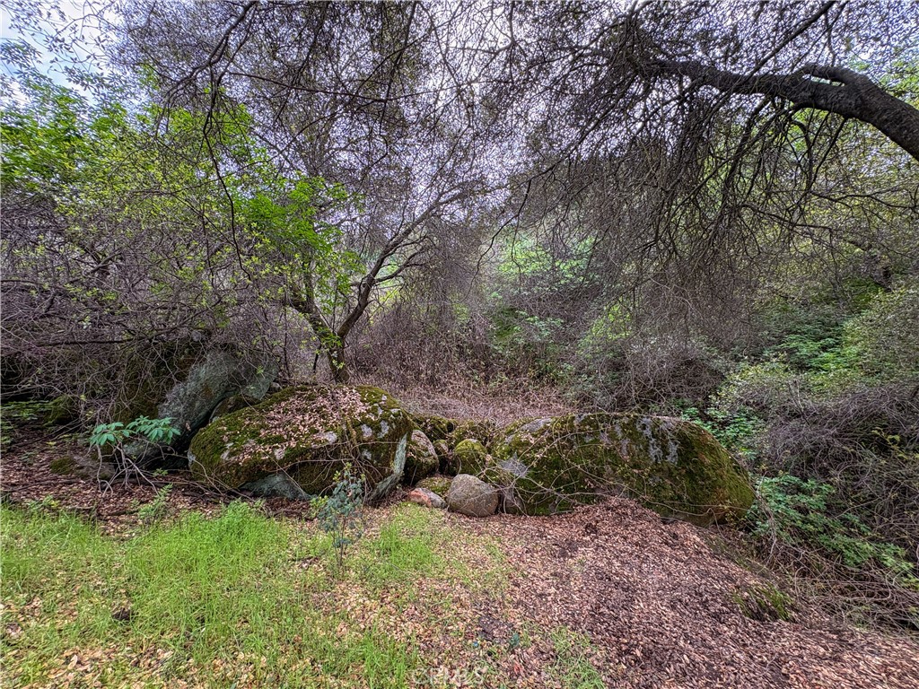 39313 Squaw Valley, Squaw Valley, CA 93675