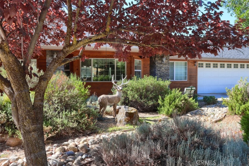 38788 Goldenrod Ln, Oakhurst, CA 93644