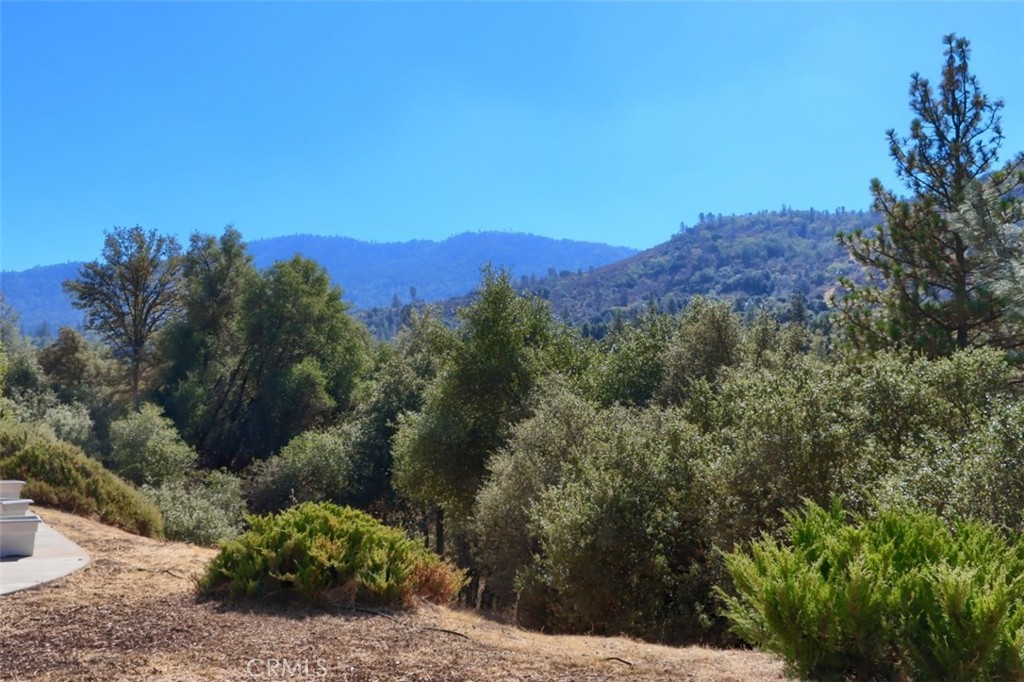 38788 Goldenrod Ln, Oakhurst, CA 93644