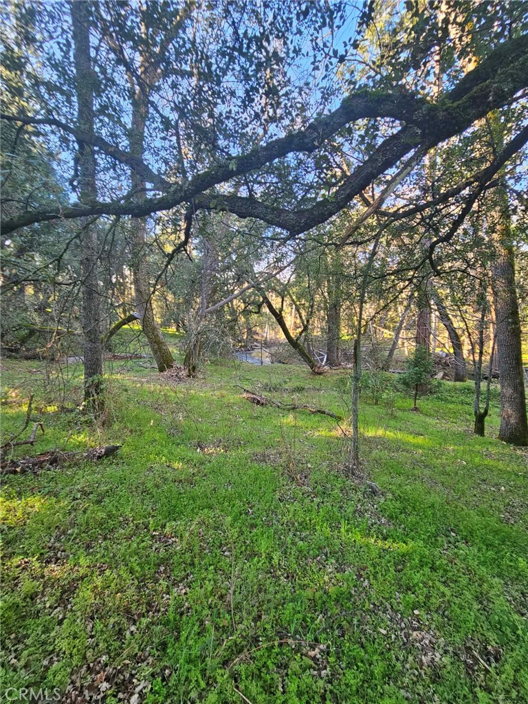 8 ac Road 225, North Fork, CA 93643