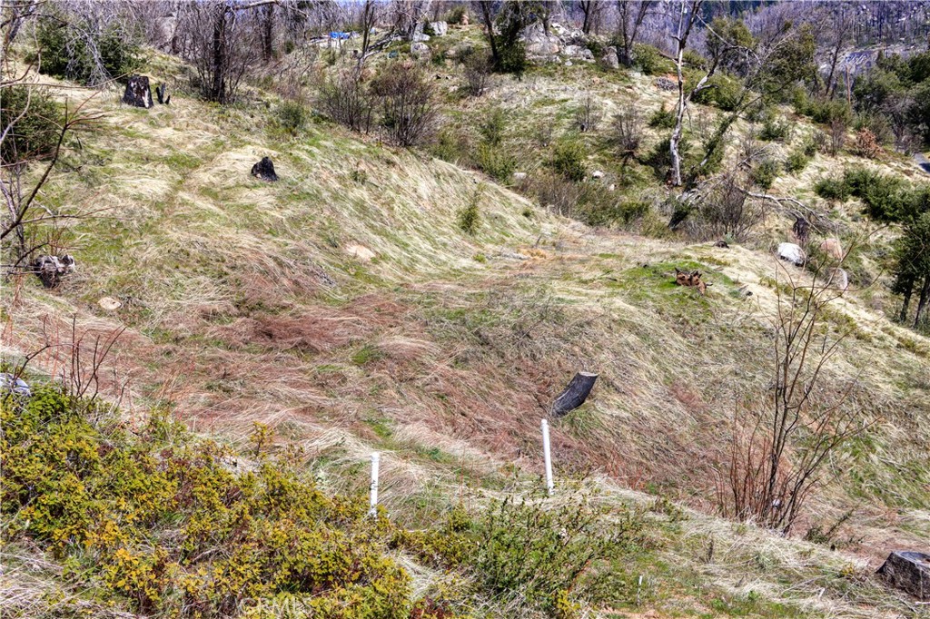 59827 Hillcrest Rd, North Fork, CA 93643