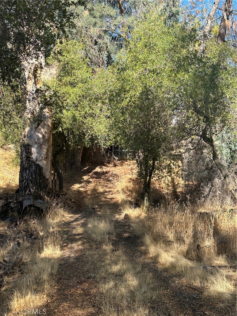 28923 Highway 41, Coarsegold, CA 93614