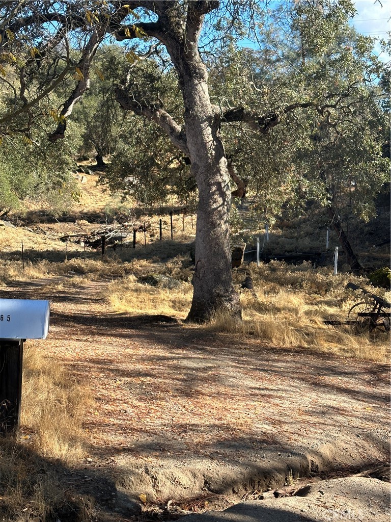 28923 Highway 41, Coarsegold, CA 93614